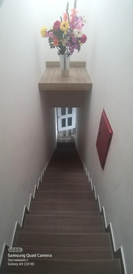 Apartments Diem Samokow Zewnętrze zdjęcie